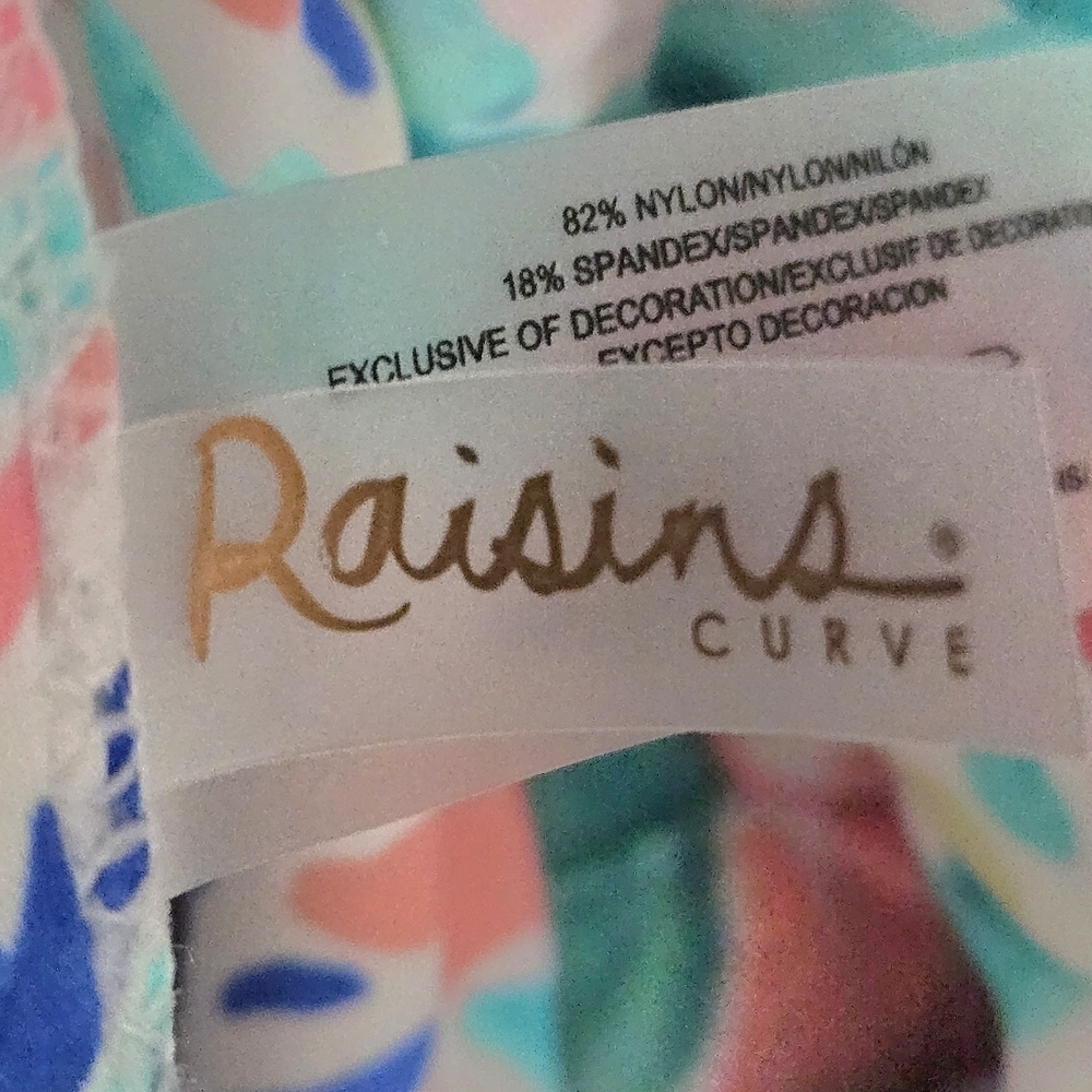 Raisins Curve Lucia V-neck Tummy Control Colorful Paisley Print Swim Dress 16W - Picture 9 of 16